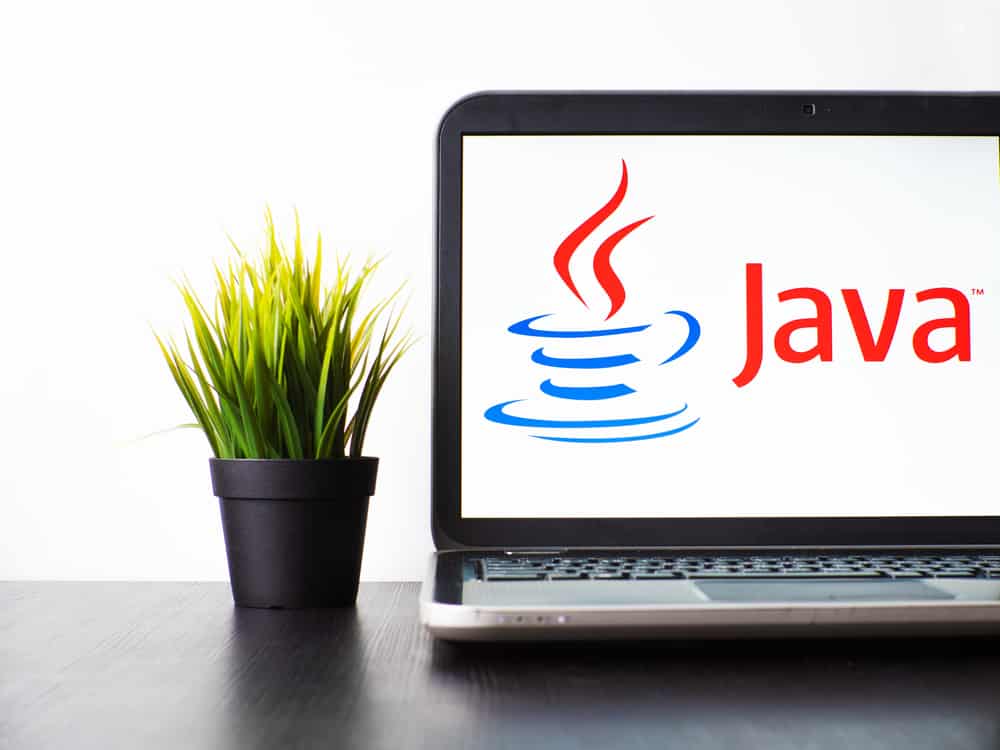Java software developers